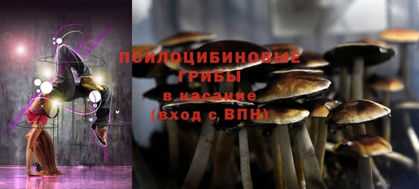 ПСИЛОЦИБИНОВЫЕ ГРИБЫ Алексин