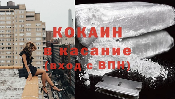 стафф Алзамай