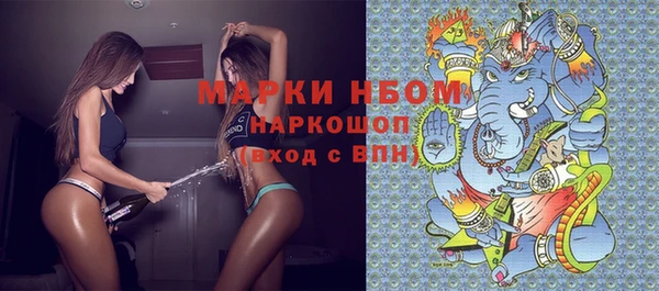 стафф Алзамай