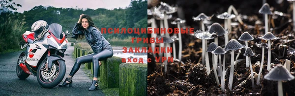 ПСИЛОЦИБИНОВЫЕ ГРИБЫ Алексин
