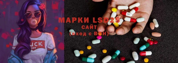 ПСИЛОЦИБИНОВЫЕ ГРИБЫ Алексин