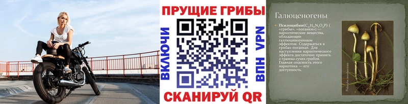Псилоцибиновые грибы Magic Shrooms  цена наркотик  Урюпинск 